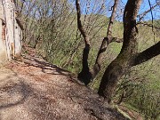 24 Curioso sedile su tronco di pianta